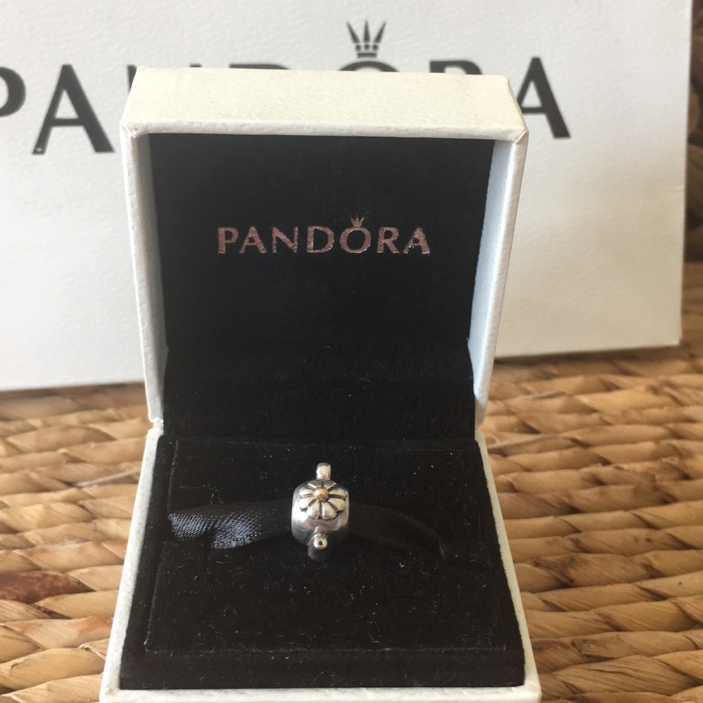 Pandora teapot charm